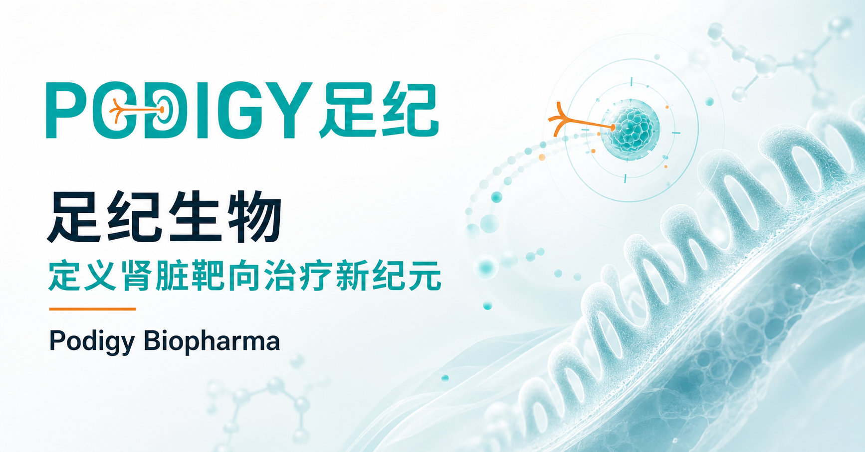 足纪生物——定义肾脏靶向治疗新纪元